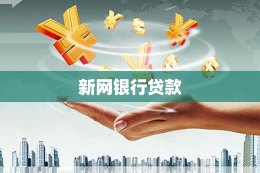 勉县新网银行贷款