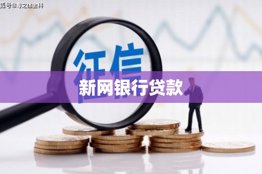 勉县新网银行贷款