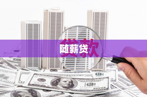 勉县随薪贷