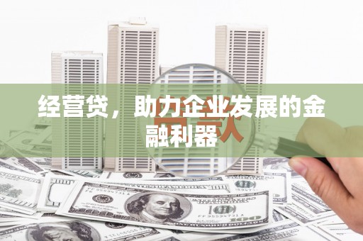 勉县经营贷，助力企业发展的金融利器