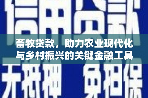 勉县畜牧贷款，助力农业现代化与乡村振兴的关键金融工具