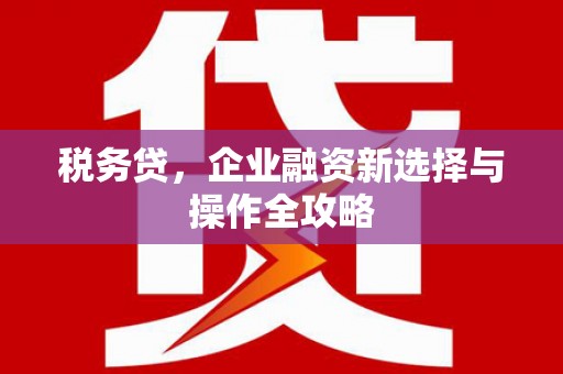 勉县税务贷，企业融资新选择与操作全攻略