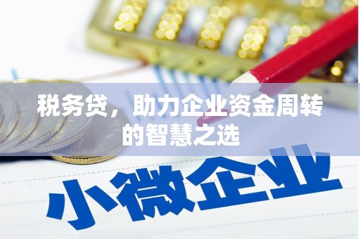 勉县税务贷，助力企业资金周转的智慧之选