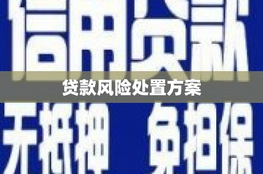 勉县贷款风险处置方案