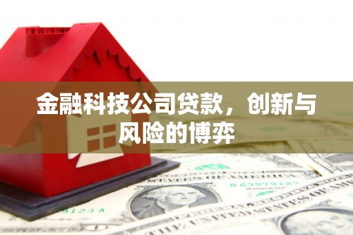 勉县金融科技公司贷款，创新与风险的博弈