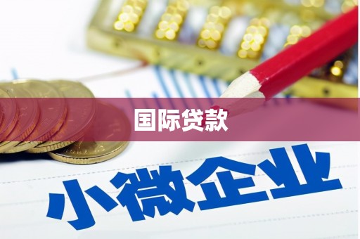 勉县国际贷款