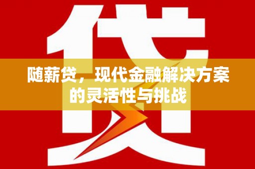 勉县随薪贷，现代金融解决方案的灵活性与挑战