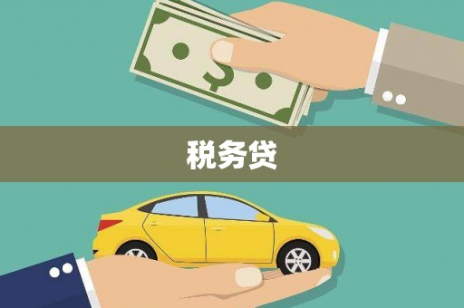 勉县税务贷