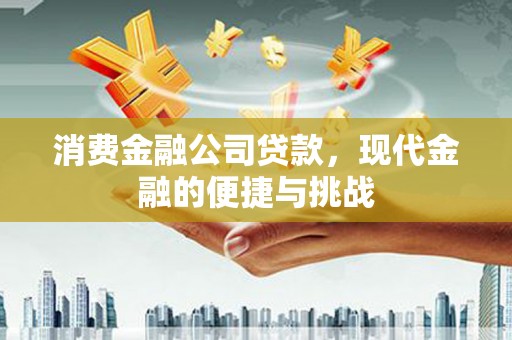 勉县消费金融公司贷款，现代金融的便捷与挑战