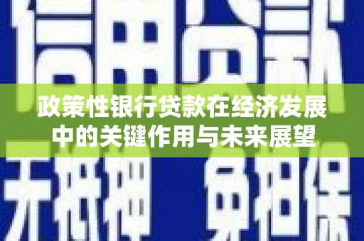 勉县政策性银行贷款在经济发展中的关键作用与未来展望