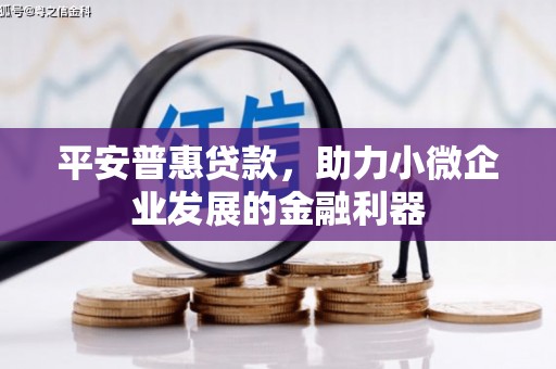 勉县平安普惠贷款，助力小微企业发展的金融利器