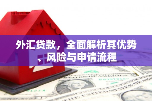 勉县外汇贷款，全面解析其优势、风险与申请流程