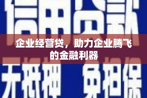 勉县企业经营贷，助力企业腾飞的金融利器