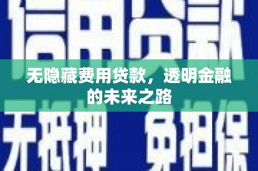 勉县无隐藏费用贷款，透明金融的未来之路