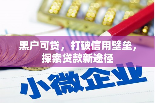 勉县黑户可贷，打破信用壁垒，探索贷款新途径