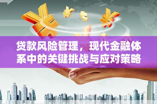 勉县贷款风险管理，现代金融体系中的关键挑战与应对策略