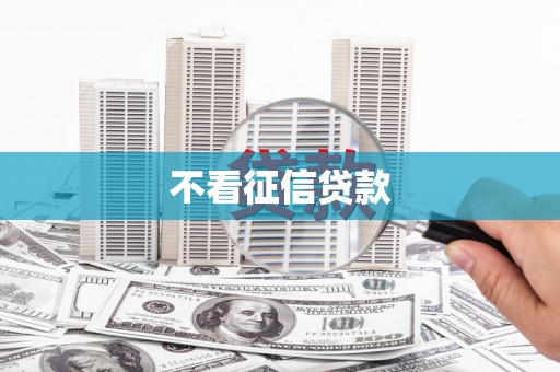 勉县不看征信贷款