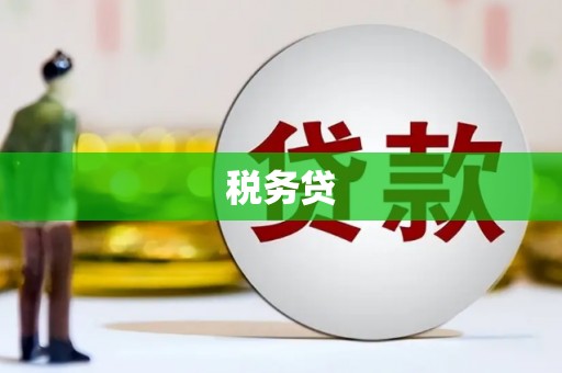 勉县税务贷