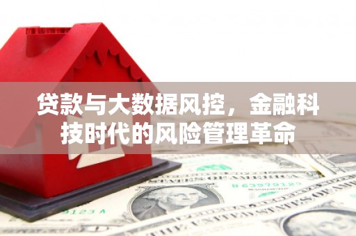 勉县贷款与大数据风控，金融科技时代的风险管理革命