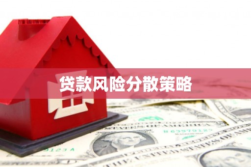 勉县贷款风险分散策略
