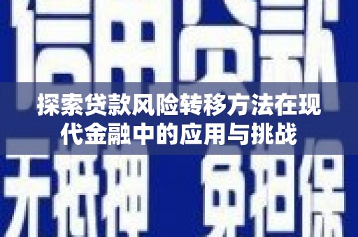 勉县探索贷款风险转移方法在现代金融中的应用与挑战