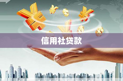 勉县信用社贷款