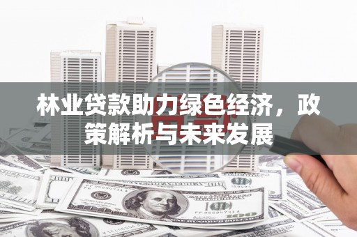 勉县林业贷款助力绿色经济，政策解析与未来发展