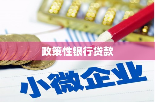 勉县政策性银行贷款