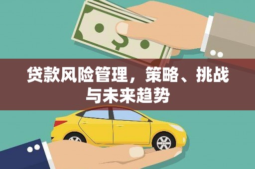 勉县贷款风险管理，策略、挑战与未来趋势