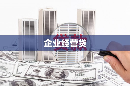 勉县企业经营贷