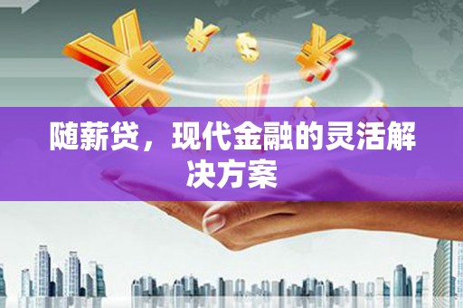勉县随薪贷，现代金融的灵活解决方案