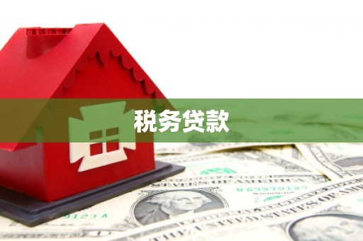 勉县税务贷款
