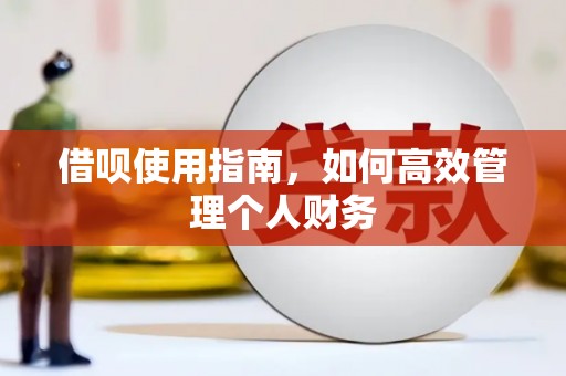 勉县借呗使用指南，如何高效管理个人财务