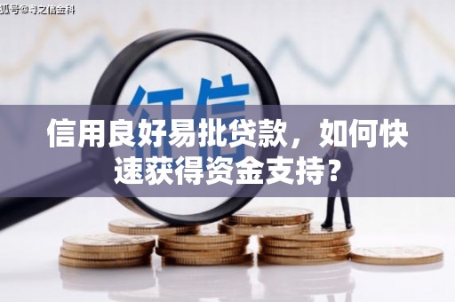 勉县信用良好易批贷款，如何快速获得资金支持？