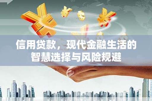 勉县信用贷款，现代金融生活的智慧选择与风险规避
