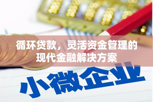 勉县循环贷款，灵活资金管理的现代金融解决方案
