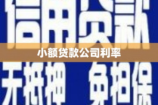 勉县小额贷款公司利率