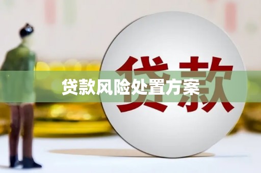 勉县贷款风险处置方案