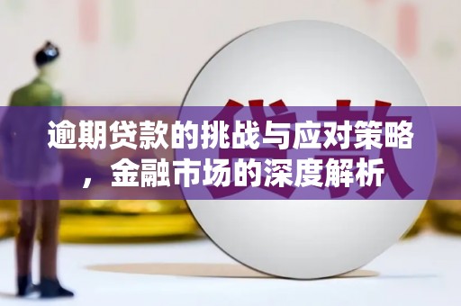 勉县逾期贷款的挑战与应对策略，金融市场的深度解析
