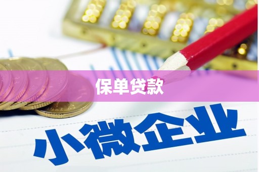 勉县保单贷款