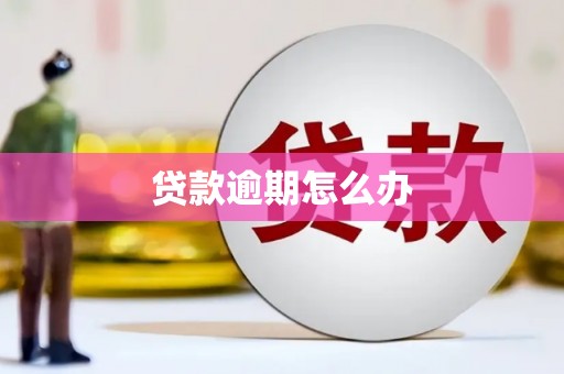 勉县贷款逾期怎么办