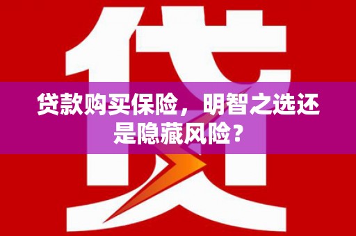 勉县贷款购买保险，明智之选还是隐藏风险？