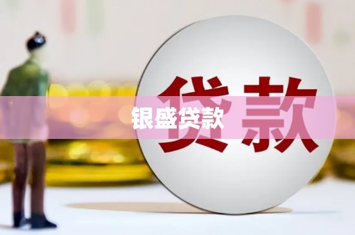 勉县银盛贷款