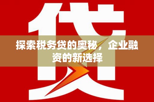 勉县探索税务贷的奥秘，企业融资的新选择