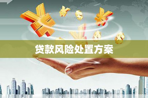 勉县贷款风险处置方案