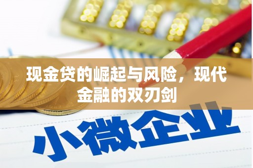勉县现金贷的崛起与风险，现代金融的双刃剑