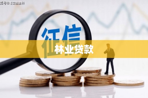 勉县林业贷款