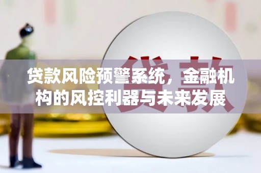 勉县贷款风险预警系统，金融机构的风控利器与未来发展