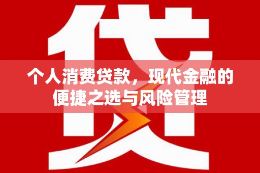 勉县个人消费贷款，现代金融的便捷之选与风险管理