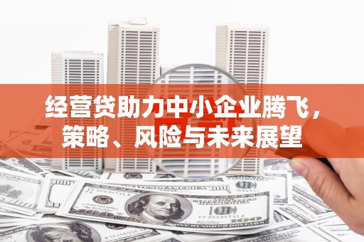 勉县经营贷助力中小企业腾飞，策略、风险与未来展望